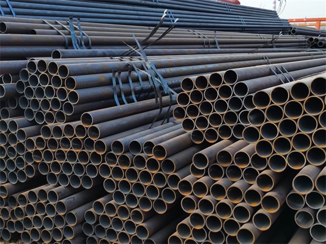 IMG_20230401_161937.jpg IMG_20230401_161937.jpg